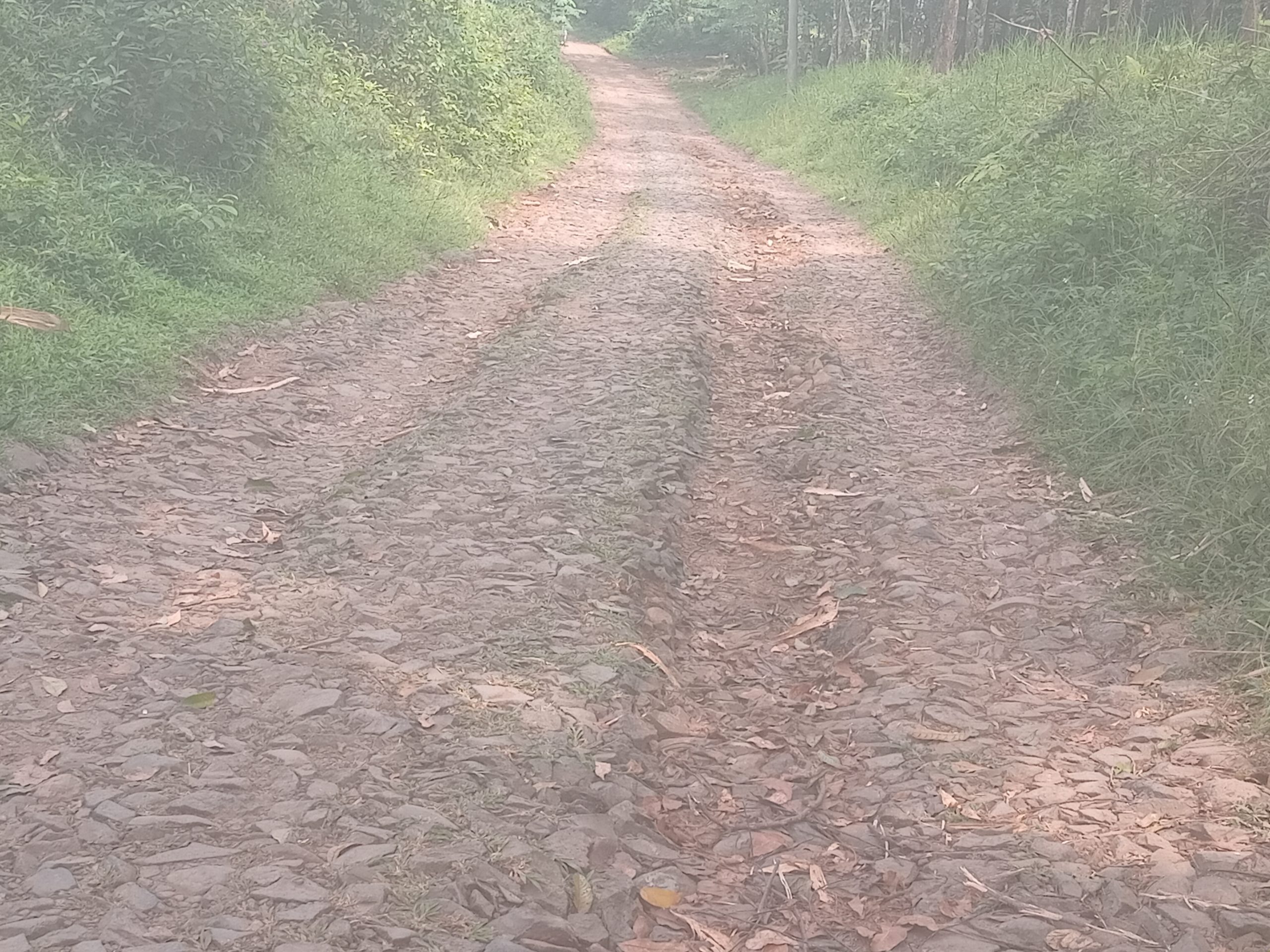 Kondisi jalan Milik Kabupaten Pandeglang Puluhan tahun tidak tersentuh pembangunan